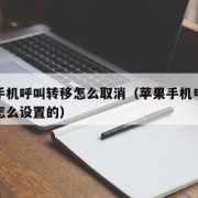 苹果手机呼叫转移怎么取消（苹果手机电话不共享怎么设置的）