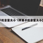 苹果手机音量太小（苹果手机音量太小怎么解决）