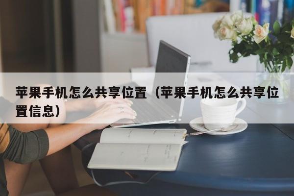 苹果手机怎么共享位置(苹果手机怎么共享位置信息)