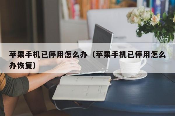 苹果手机已停用怎么办(苹果手机已停用怎么办恢复)